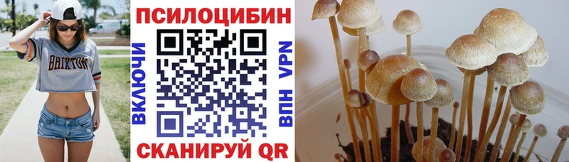 мориарти как зайти  гидра как войти  Псилоцибиновые грибы мицелий  Аткарск  магазин продажи наркотиков 